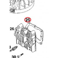 Briggs&stratton  Blīve cilindra M127800 (692249)